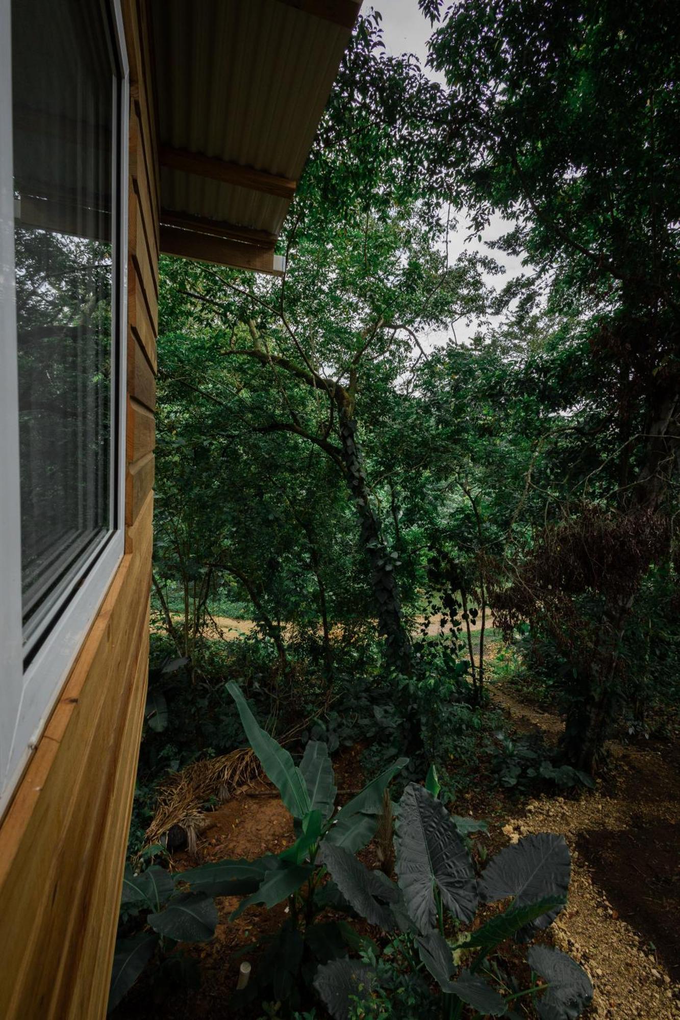 Monkey Tiny House - Private Swimming Pool Vila Big Bight Exterior foto